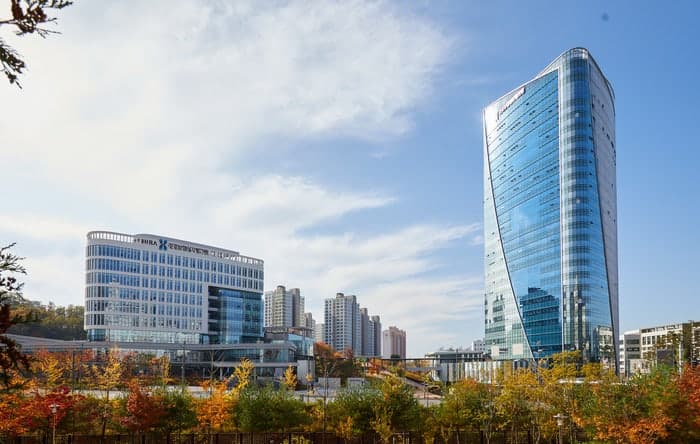 심평원, '마약류 의약품 DUR 확인 의무화' 안착 위한 현장 지원