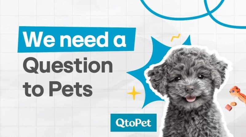 hy, 반려동물 토탈 케어 플랫폼 '큐토펫' 론칭…맞춤 관리 제공한다