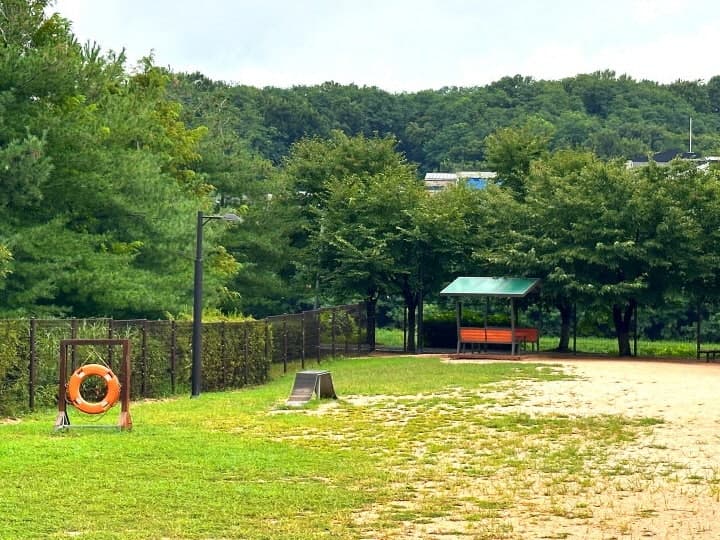 고양시, '동물교감치유' 정책 확대…사람과 동물이 함께 치유하는 친화도시 조성 박차