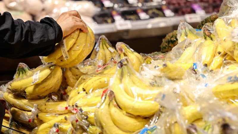 "전쟁 탓 바나나도 못 먹겠네"…나프타 부족에 일본 바나나 숙성 비상