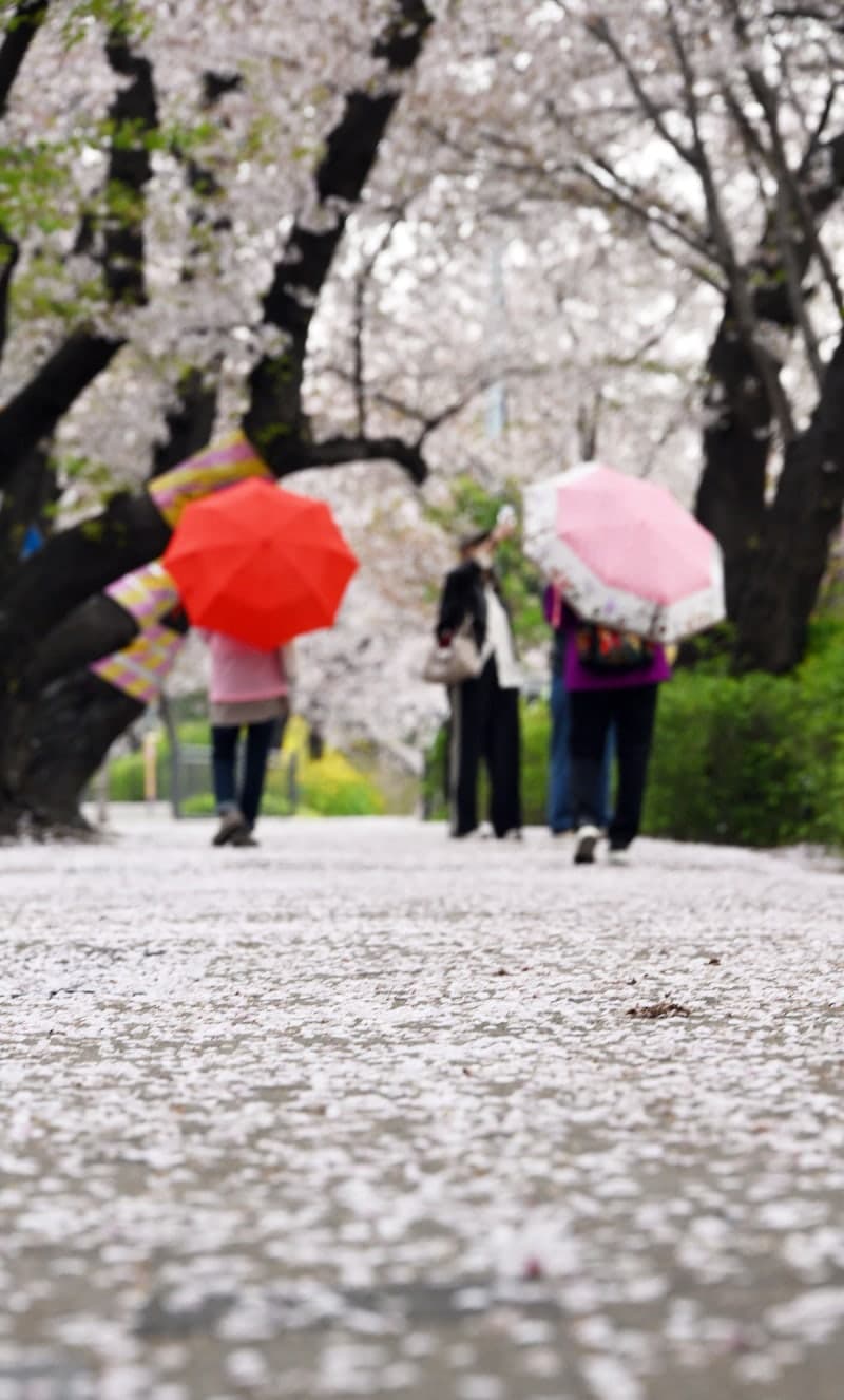 전국에 때이른 더위 식히는 봄비…수도권 미세먼지 '나쁨'