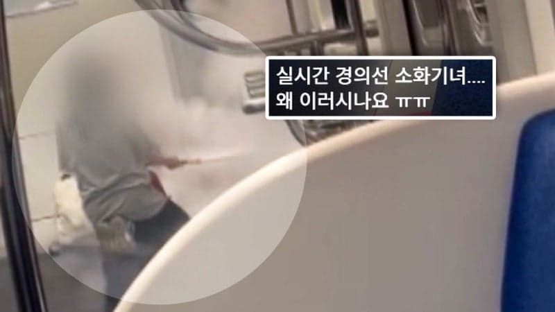 "소화기 잘 작동하나 보려고" 경의중앙선 열차서 20대 女 소화기 난사, 경찰 입원 조치