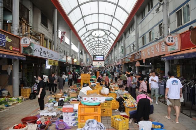 "봄나물에 모종까지" 양양전통시장, 봄 맞아 인산인해 지역경제 활성화 기여