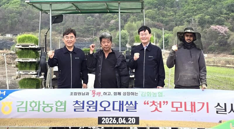 강원 북부 들녘, 철원평야·양구 첫 모내기 시작…8월 중순 첫 수확 전망