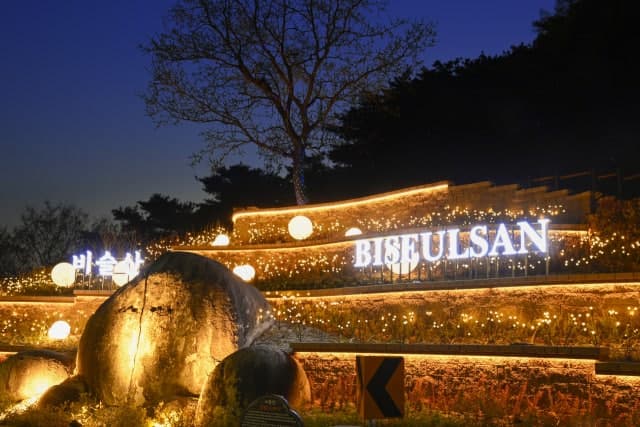 비슬산 밤이 달라졌다…'용의 알' 품은 참꽃 로드 야간 경관 새 단장