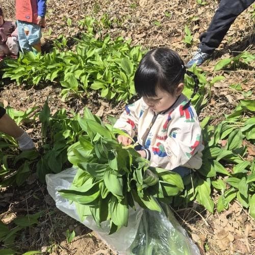 인제활성화사업단, 봄 정취 담은 농촌체험 프로그램 '완판' 행진