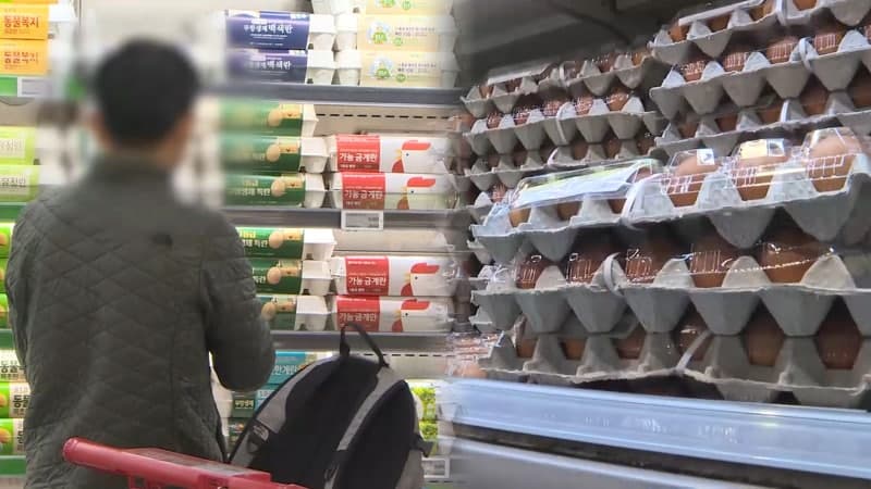 "이거라도 맘 놓고 먹자"…7000원 넘은 계란값에 태국산 긴급 투입 첫날부터 완판
