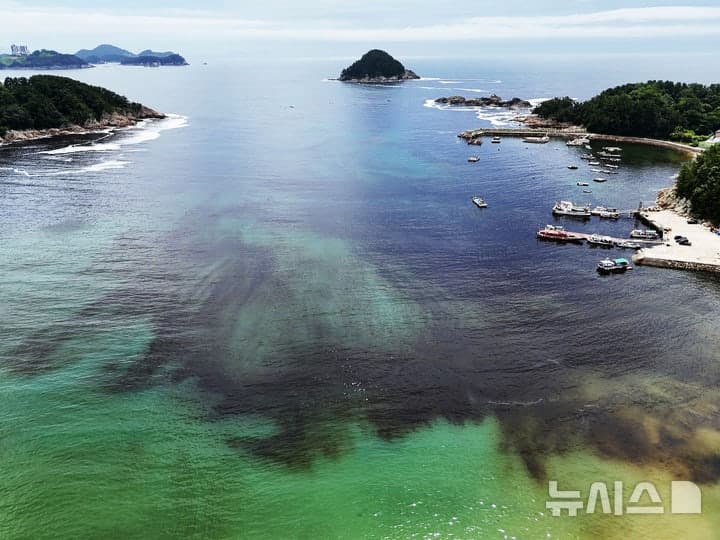 한국 바다, 지구 평균의 2배 뜨거워져…"생태계 변화 뚜렷해"