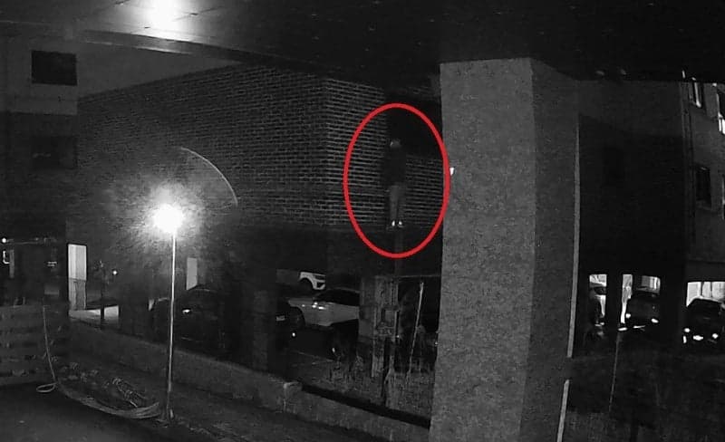 "CCTV 없는 산 인근만 노려"…수도권 고급주택 30여 차례 털고 5억 원대 훔친 '복면 절도범' 구속