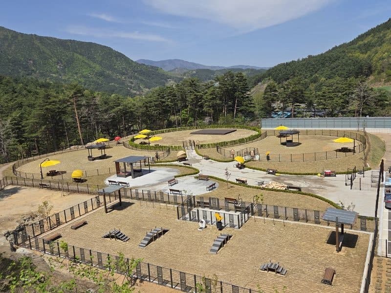 강릉시, 시민·반려동물 위한 2600평 규모 '펫파크' 27일 임시 개장