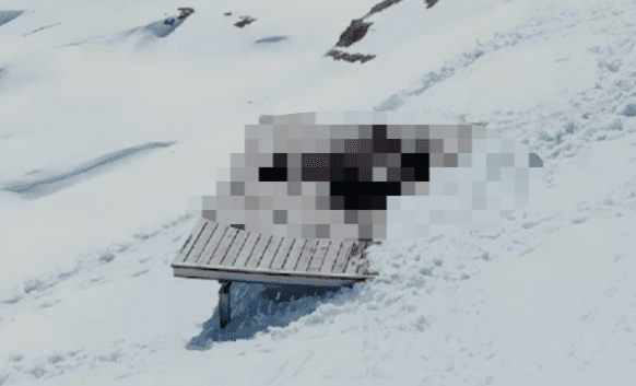 "날씨 보려다 깜짝 목격"…알프스 정상서 성관계한 커플, 인터넷 생중계돼 논란