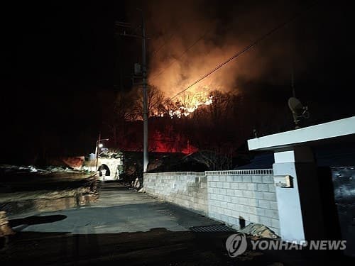 "산불 냈으니 복구비 부담하세요"…단양군, 군유림 산불 낸 80대에 870만원 청구