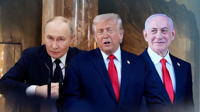 국제앰네스티 "트럼프·푸틴·네타냐후, 탐욕스러운 포식자들" 직격