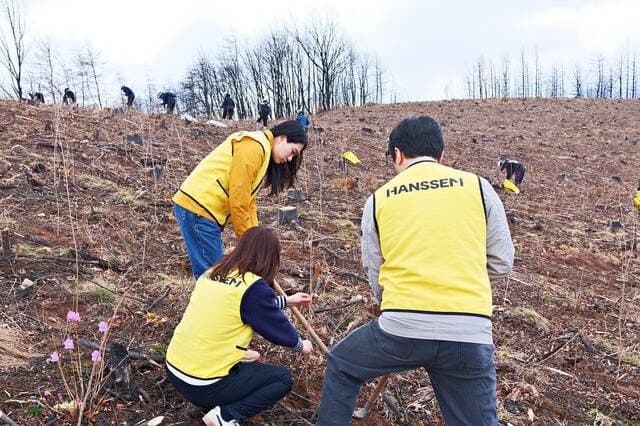 한샘, 산불 피해 안동에 '한샘숲 3호' 조성…산벚나무 1500그루 식재