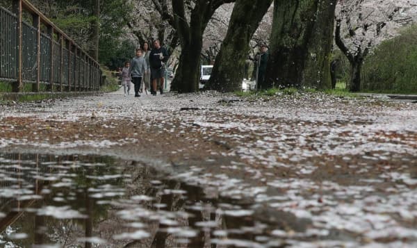 내일 오전까지 곳곳 미세먼지 '나쁨'…남부 최대 20㎜·제주 80㎜ 비