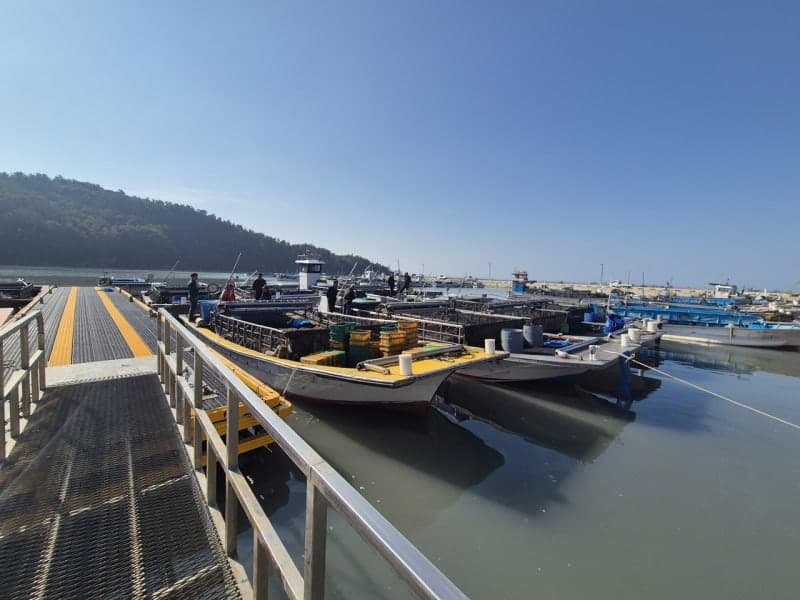 해남 물김 생산량 감소에도 위판고 역대 최고 '1545억' 달성