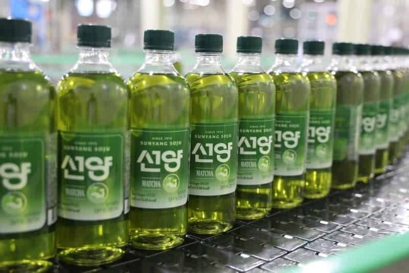 선양소주, 국내 최초 '선양 말차' 소주 출시 "취하는 소주 가고 '맛있는 소주' 왔다"