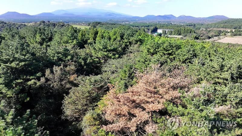 국립산림과학원, "재선충병 매개충만 정밀 방제"…美 USDA와 차세대 방제 기술 공동연구
