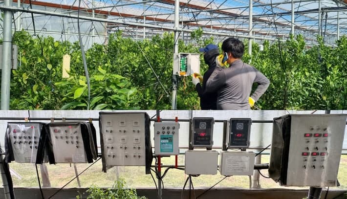 농식품부, "GPU 32장 풀었다" AI 스마트농업 확산 본격화