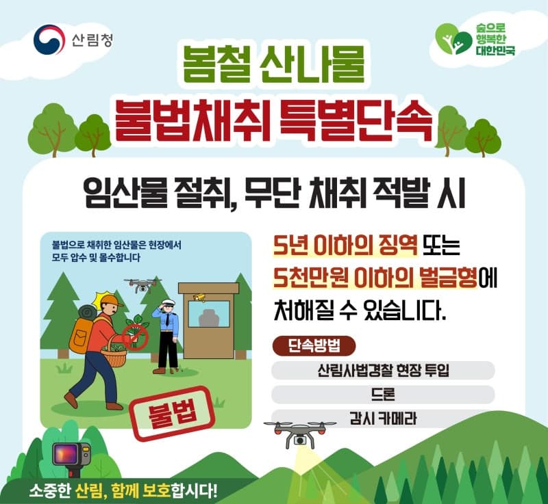 산림청, 5월말까지 드론 활용 산나물 불법 채취 집중 단속