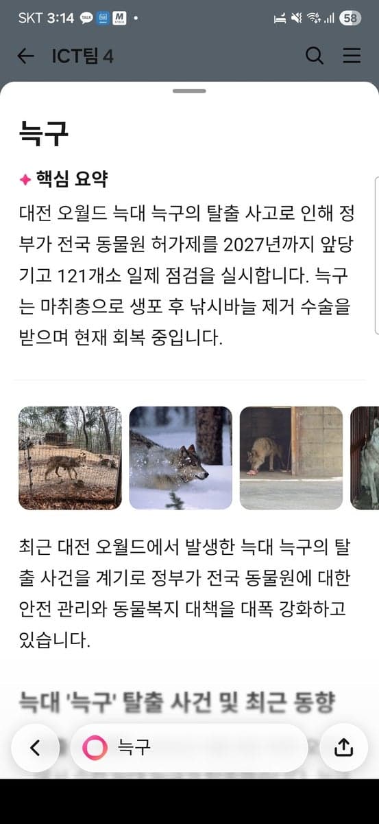 카카오, 카톡 내 AI 검색 '카나나' 시범 운영