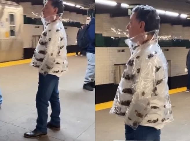 “투명 패딩 속 바퀴벌레 꿈틀” 뉴욕 흔든 '바퀴벌레 패딩'의 진실은?