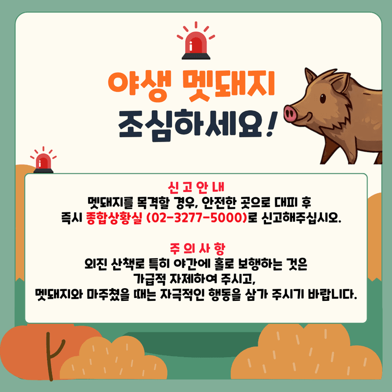 "캠퍼스에 멧돼지 돌아다닌다" 이화여대서 신고 잇따라