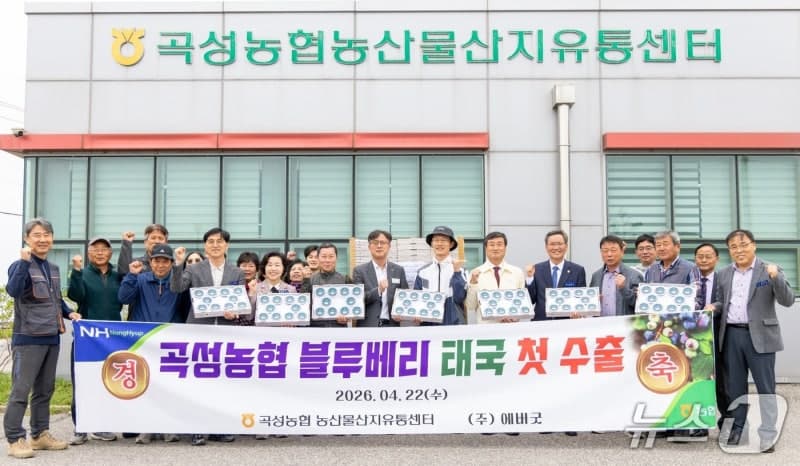 곡성 블루베리, 태국 첫 수출 '신호탄'…동남아 시장 진출