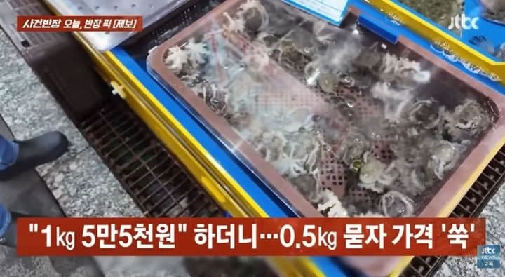 회센터서 "1kg 5만5000원이라더니"…제철 알주꾸미 0.5kg에 3만원 '바가지'