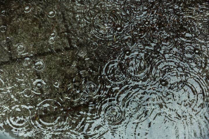 "비 오면 출근하지 마"…'우천 휴가 7일' 뿌린 中 식품업체