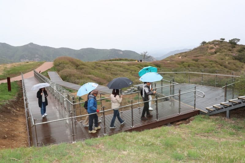 "산 정상 철쭉도 장벽 없이"…휠체어로 즐기는 황매산 분홍빛 봄, 무장애 보행로 준공