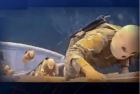 "복면 쓰고 총기까지" 이란, 호르무즈 해협서 선박 나포 영상 공개