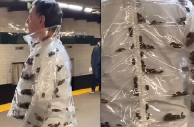 "투명 패딩 속 바퀴벌레 수십마리 꿈틀"…뉴욕 지하철 男 정체는 '노이즈 마케팅'