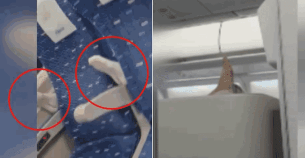 "악취에 잠 깼다" KTX 앞좌석 팔걸이에 발 올리고 '쿨쿨' 잔 중년 女