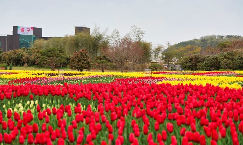 낮과 밤 기온 차 15도 안팎, 낮최고 23도…남해안·제주 비