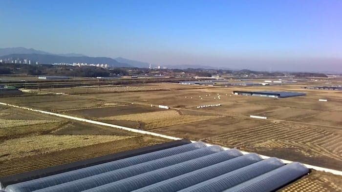 충남도, '스마트 수출 전문단지 구축' 3곳 선정…딸기·배·포도 스마트팜 현대화 추진