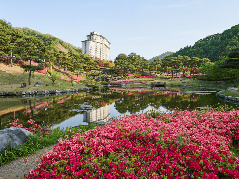 "아이들과 함께 강촌으로"…엘리시안 강촌, 내달 4일 '어린이날 키즈 페스티벌' 운영