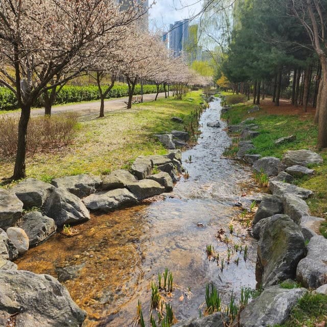 인천환경공단, 영종하늘도시 실개천에 유지용수 공급 재개 "물순환 도시 조성"