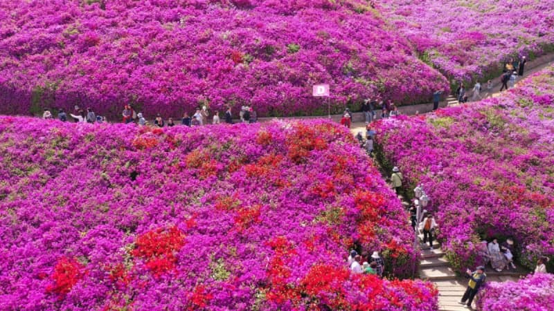 내일 낮 최고 26도 '초여름 날씨'…큰 일교차 속 전국 맑음