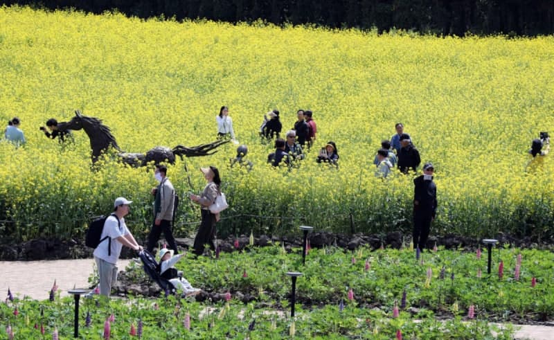 "나들이 가기 좋아요" 주말 맑고 26도 안팎 초여름 날씨…월요일 중부 비 소식