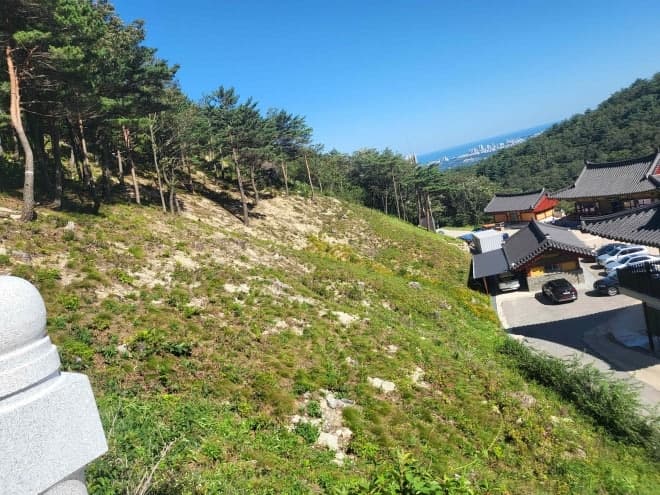 산림청, '천년 숲' 사찰림 실태조사 확대…체계적 보전 나선다