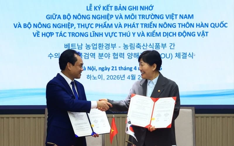 "16조 베트남 육류시장 열렸다"…삼계탕 등 K-가금육 수출길 '활짝'