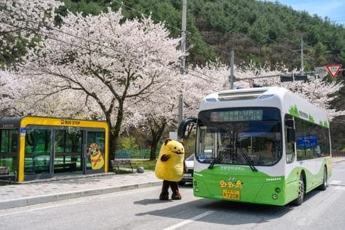 정선 와와버스, AI 분석 시스템 도입…“버스 혼잡도 인공지능이 알려줘요”