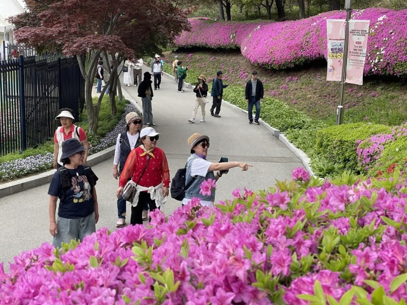 "꽃길 걷고 모노레일 타고" 청남대 영춘제 24일 개막, 옛 대통령 별장서 즐기는 봄꽃 축제