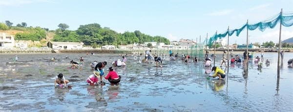어촌어항공단, "단순 체험 넘어 체류형" 민간협력 소득모델 추진