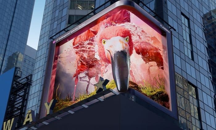LG전자, 美 타임스스퀘어에서 '멸종위기종 플라밍고 보호' 캠페인 전개