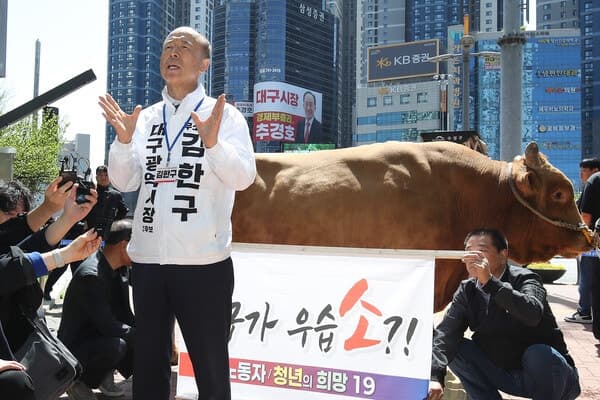 전기톱 이어 이번엔 황소 끌고 나온 김한구 "대구가 우습소?!"