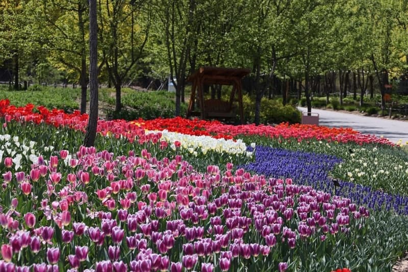 한국수목원정원관리원 "5월, 낮엔 숲 체험 밤엔 정원 산책…이색 체험 총집합"