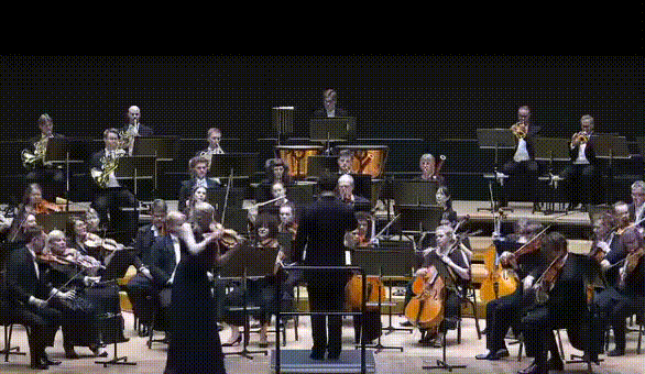 지휘봉에 맞은 '20억' 바이올린 바닥으로 '쿵'…연주자 '비명'