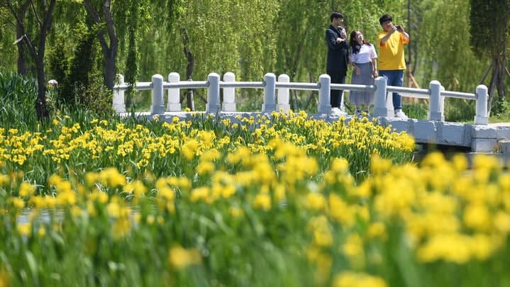 거창군, '반값여행'과 '치유 콘텐츠' 결합한 봄축제로 체류형 관광도시 본격화